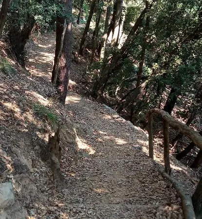 בית הארחה La Quiete Accesa 3*