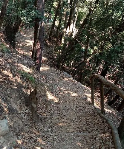 Konukevi La Quiete Accesa 3*