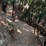 게스트하우스 La Quiete Accesa 3*