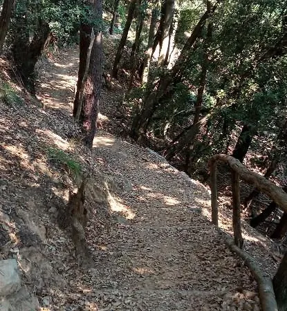 Gasthof La Quiete Accesa *