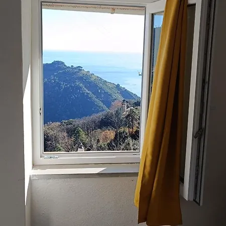 La Quiete Accesa *