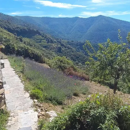 La Quiete Accesa فيرناتْسا